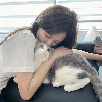 借命而生封面